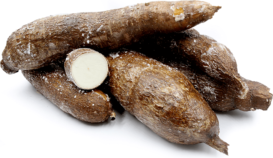 cassava-root