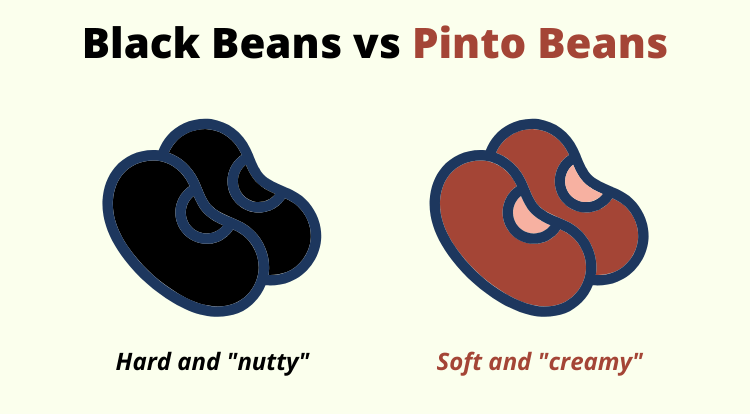 black beans vs pinto beans taste comparison