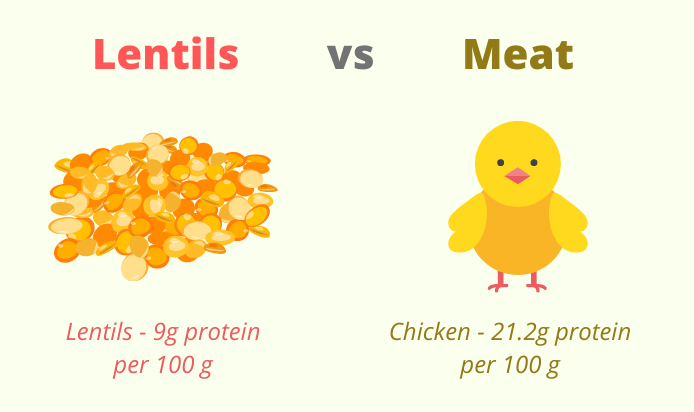 lentils vs meat protein content