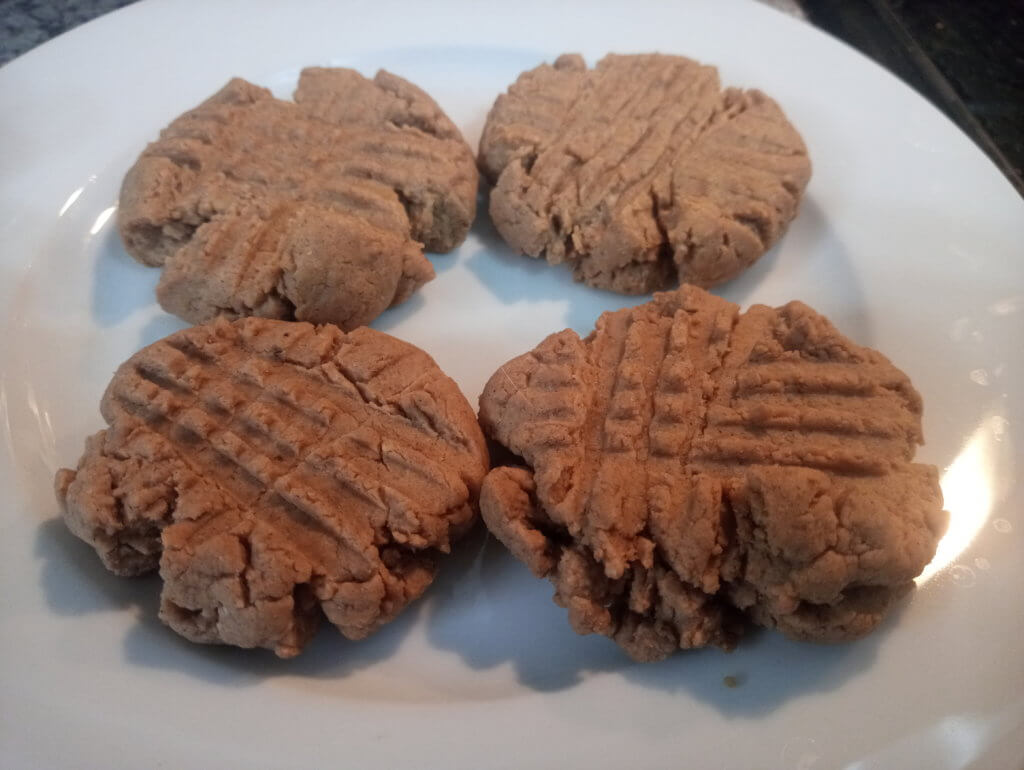vegan peanut butter protein cookies