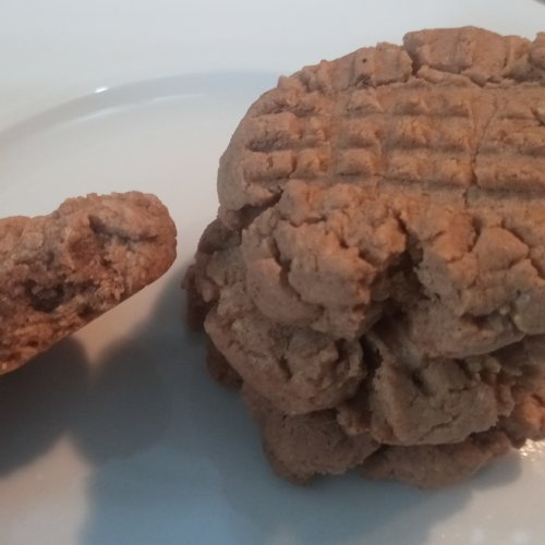 vegan protein cookie