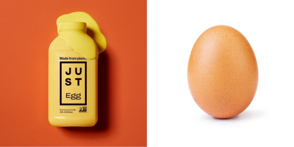 just egg container beside real egg