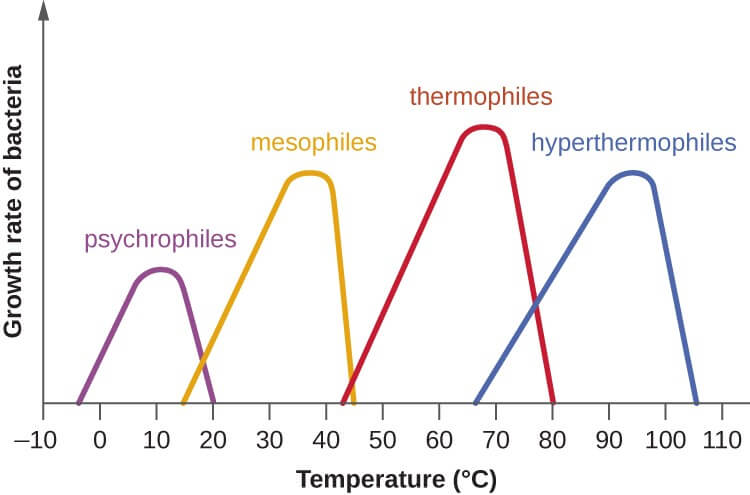 effect of temperature on growth rate of microorganisms 